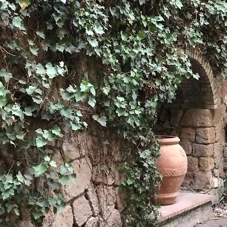 Princess B&B Frascati Exteriör bild